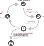 sex worker's children's life cycle