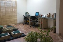 The SHWO Effect: A Self-made Office Interior