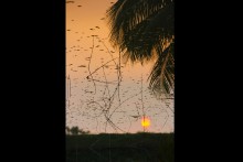 Sunset 03 | Shajjad Hossain