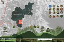 Designing ‘The Palace’ Ground: A Performative Landscape
