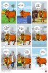The Cow and The City | Tirtho