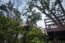 Hymn to Nature: Landscape for BRAC-CDM, Rajendrapur