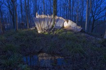 THE BIG FISH | AA School of Architecture