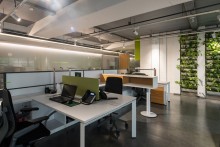 Going Green:  Designing for Workplace Wellbeing | ARCHVISTA